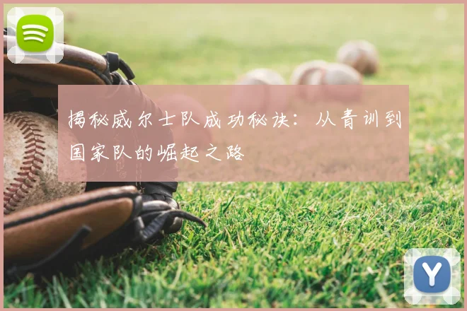 揭秘威尔士队成功秘诀：从青训到国家队的崛起之路