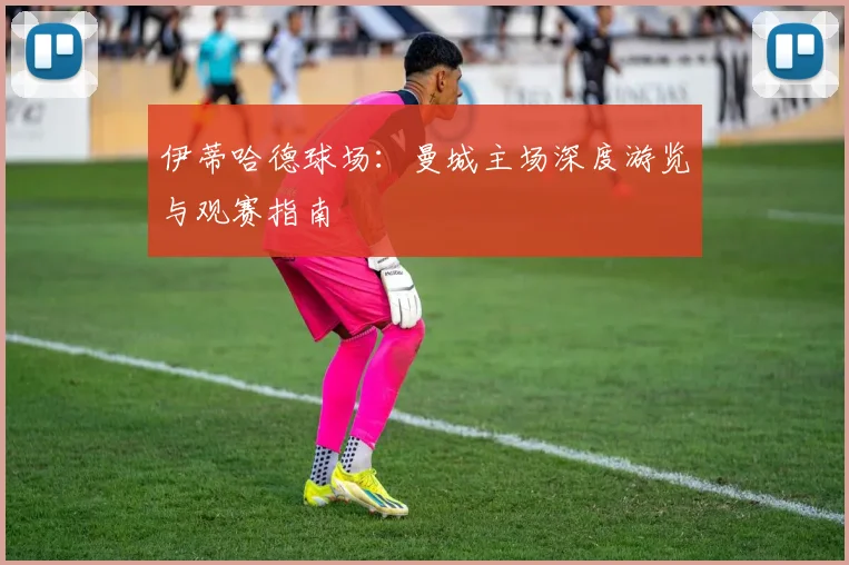 伊蒂哈德球场：曼城主场深度游览与观赛指南