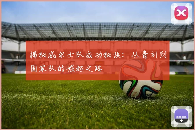 揭秘威尔士队成功秘诀：从青训到国家队的崛起之路