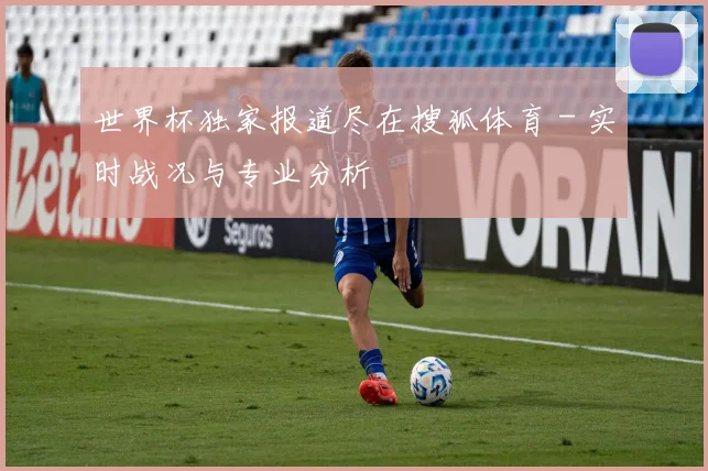 世界杯独家报道尽在搜狐体育 - 实时战况与专业分析